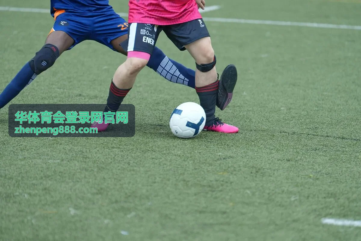 华体育会登录网官网会员服务权益封面