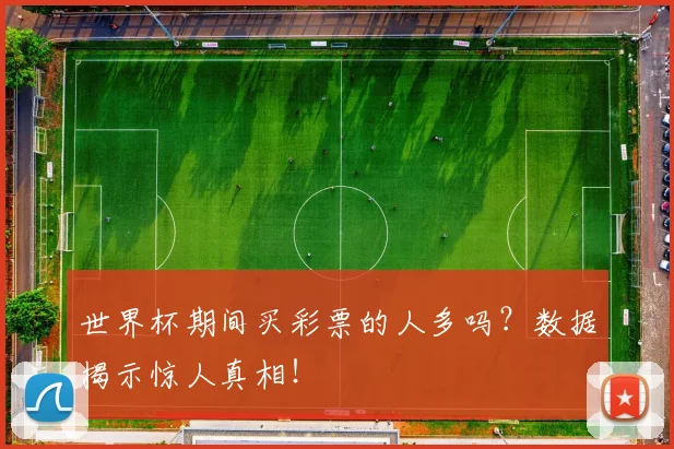 世界杯期间买彩票的人多吗？数据揭示惊人真相！