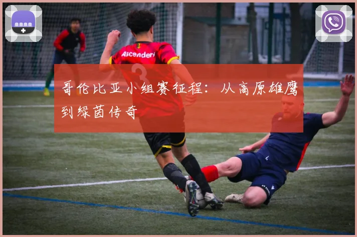 哥伦比亚小组赛征程：从高原雄鹰到绿茵传奇