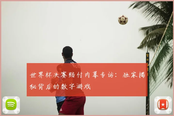 世界杯决赛赔付内幕专访：独家揭秘背后的数字游戏