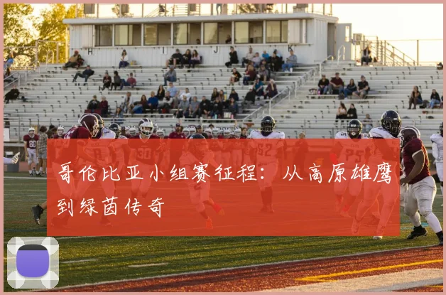 哥伦比亚小组赛征程：从高原雄鹰到绿茵传奇